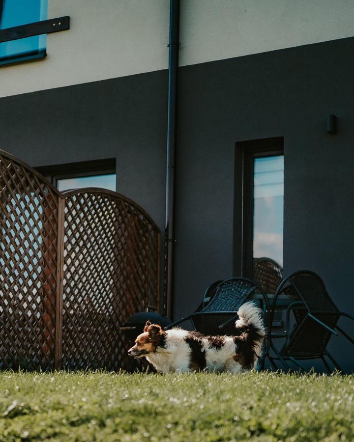 Jeleni Jar Apartamenty Duszniki Zdroj Exterior photo