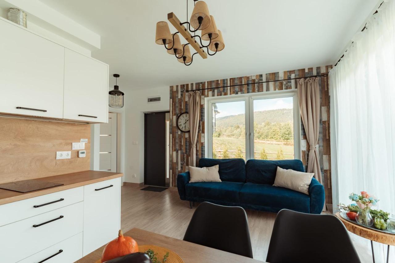 Jeleni Jar Apartamenty Duszniki Zdroj Exterior photo